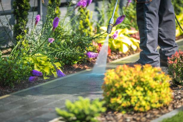 Maple Lake, MN  Pressure Washing Services Company